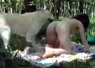 Doggy style with a dog, outdoors