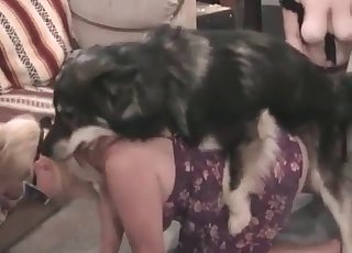 Horny hound is totally ravaging the pussy of this slut