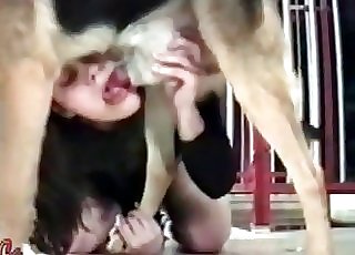 Sexy dark-haired sucking her lovely doggy
