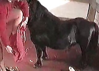 Sex with Animals for Free