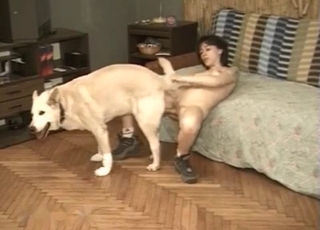 Ass to ass bestiality sex with retriever