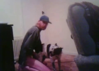 Horny zoophile assaults his doggo