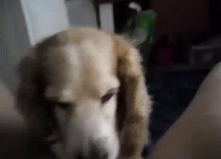 Pale ass for a red, throbbing dog cock