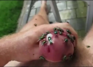 Crazy fly pornтАж not for the faint of heart, tho