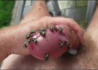 Crazy fly pornтАж not for the faint of heart, tho