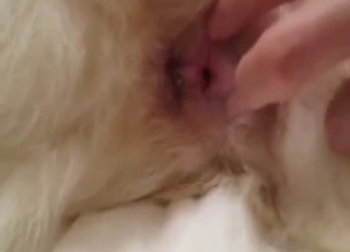 POV sex scene with a sweetie taking dick