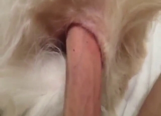 POV sex scene with a sweetie taking dick