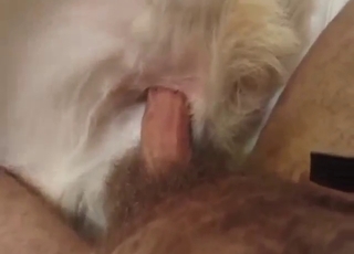 POV sex scene with a sweetie taking dick