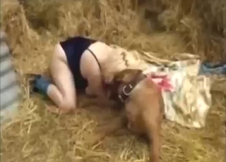 She feels that dog stretching her pussy hard