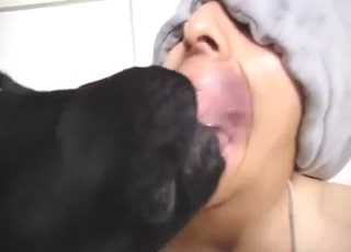 Towel head dude is getting sucked by a dog