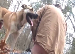 Zoo porn with a big booty zoophile fucking dog