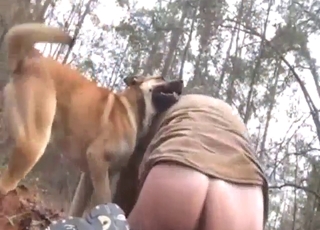 Zoo porn with a big booty zoophile fucking dog