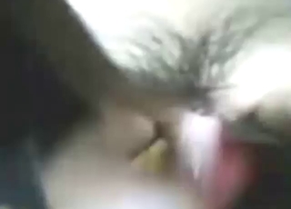 She was very horny for dog cock in this one