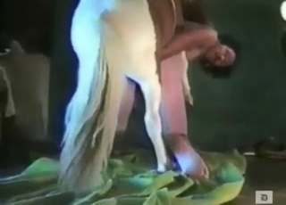 Tight and super-sensitive ass fucked by a horse