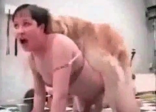 Fast, aggressive pounding from a dog