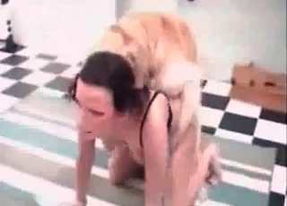 Fast, aggressive pounding from a dog