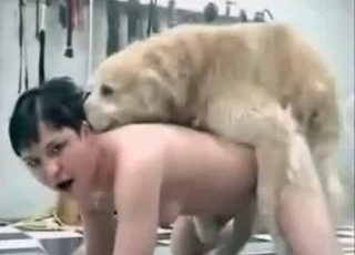 Fast, aggressive pounding from a dog