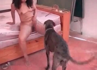 Naked brunette fucking a dog