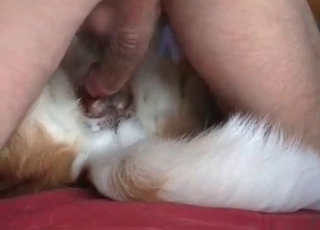 Juicy sperm on my doggy