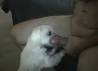 Mature guy seducing his doggo