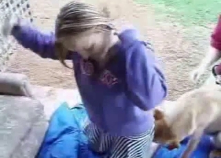 Družka