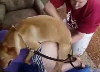 Wife pummels with her dog in front hubby
