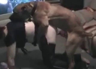 Crazy zoophile and trained young doggy