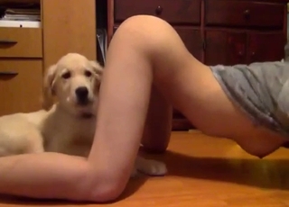 Extremely passionate oral sex with a dog
