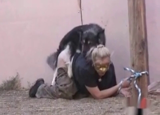 Dog nails a juicy fat ass