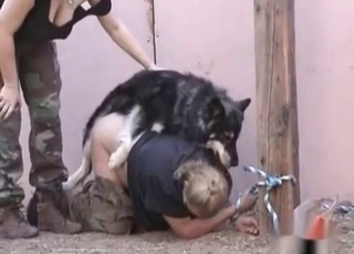 Dog nails a juicy fat ass