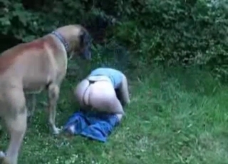 Thong-wearing slut seducing a dog outdoors