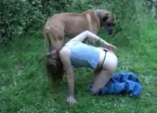 Thong-wearing slut seducing a dog outdoors