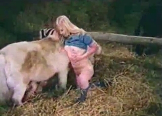 Ultra-kinky dog intercourse action looks great