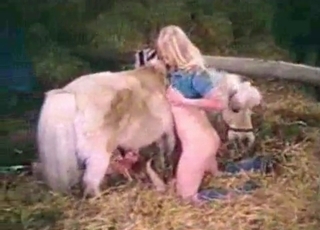 Ultra-kinky dog intercourse action looks great