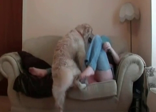 Nasty mutt teasing the possessor here