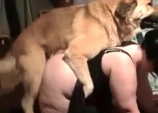 Doggy style fucking with hounds in this excellent video