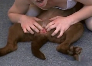 Playing with nice hole of my fantastic doggy