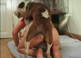 Impressively fast dog hook-up