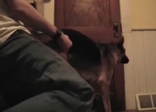 Grabbing and fucking that tight dog hole