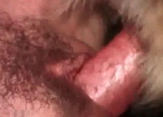 Dog’s asshole is getting stretched out