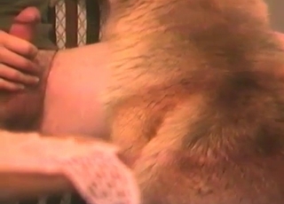 Dude jerking off to his glorious dog
