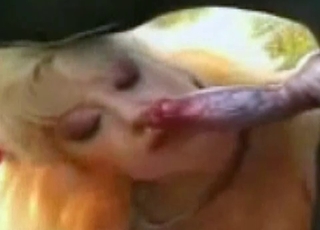 The cock of a fabulous hound is sucked by a total hoe