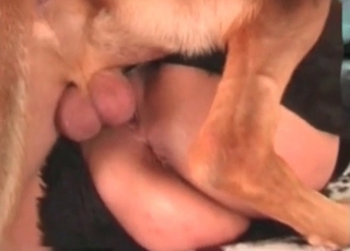 Asian chick sucking meaty man-meat of a mutt