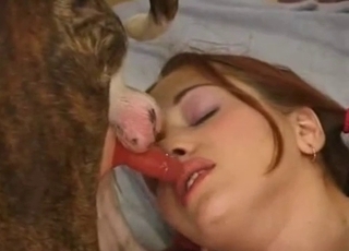 She lovingly blows a kinky doggo