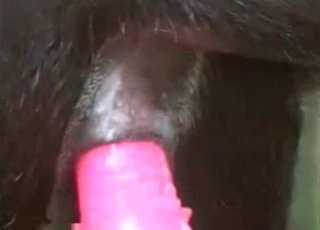 From the rear luving a sex plaything