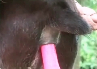 From the rear luving a sex plaything