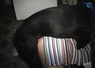 Big black dog fucked her wet cooter