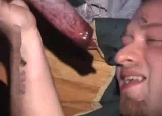 This perverted zoophiliac is sucking the cock of his doggy