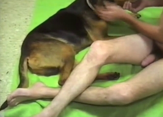 Doggy and zoofil lover in amazing animal sex pornography