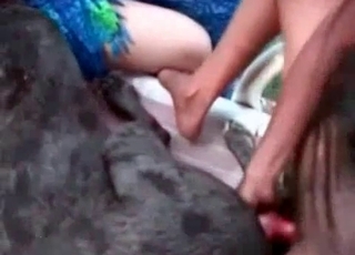 Sweet doggy in the stunning beast porn
